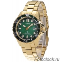 Наручные часы Citizen Eco-Drive BN0262-59W