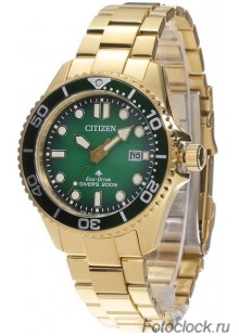 Наручные часы Citizen Eco-Drive BN0262-59W