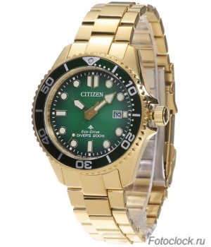 Наручные часы Citizen Eco-Drive BN0262-59W
