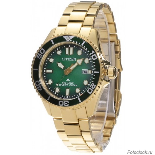 Наручные часы Citizen Eco-Drive BN0262-59W