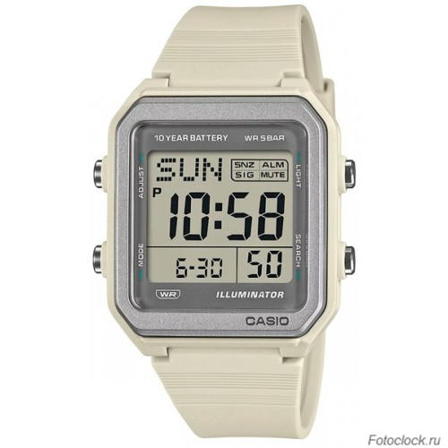 Casio W-221H-8A