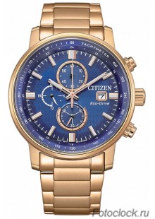 Наручные часы Citizen Eco-Drive CA0843-89L