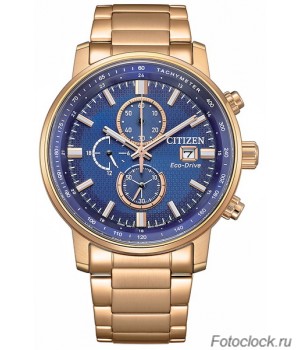Наручные часы Citizen Eco-Drive CA0843-89L