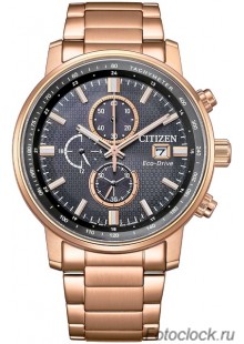 Наручные часы Citizen Eco-Drive CA0848-85E