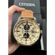 Наручные часы Citizen Eco-Drive CA0880-15X