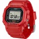 Casio DWN-5600-4