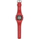 Casio DWN-5600-4